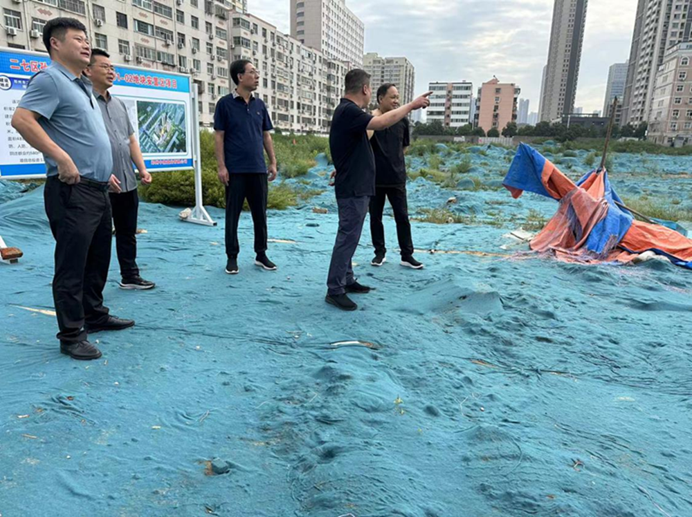 九游平台_九游（中国）
党委委员、副总经理张岩到侯寨新镇区安置区调研项目建设工作